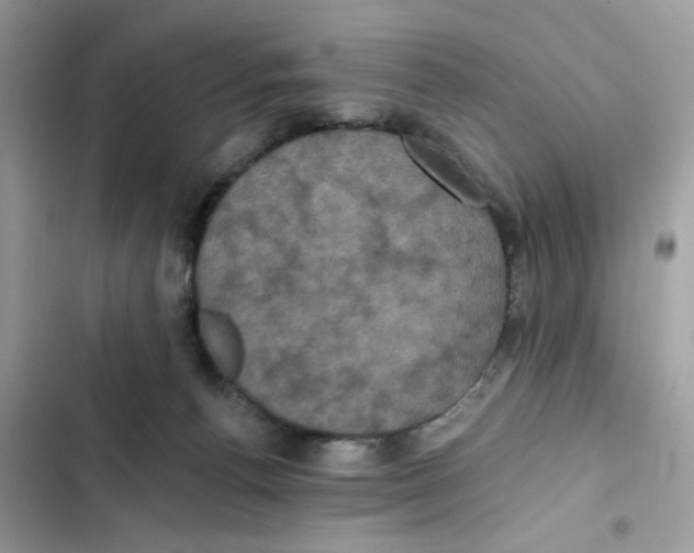 X0000101970176200808151346