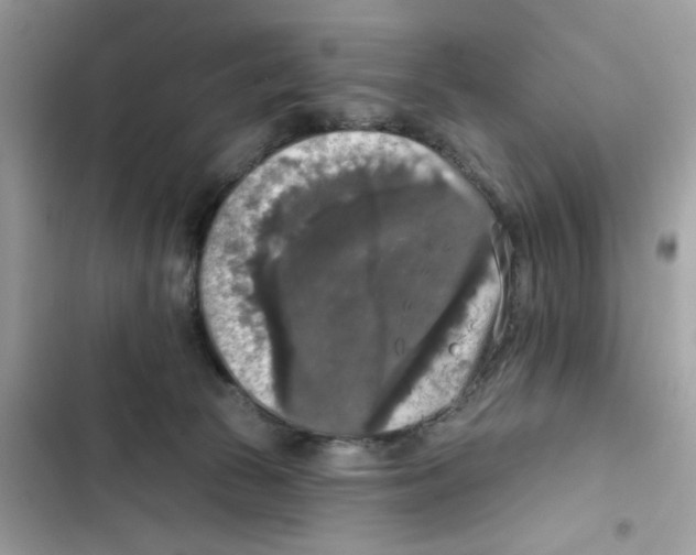 X0000101970177200808151346
