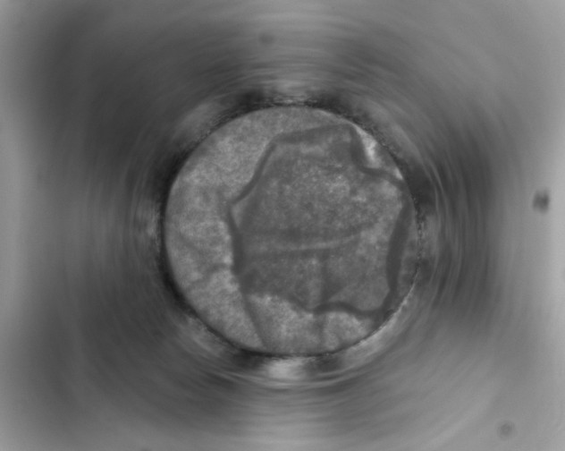 X0000101970178200808151346