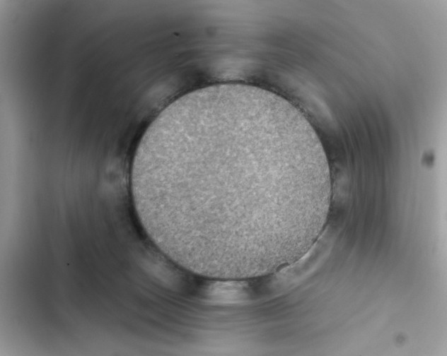 X0000101970179200808151346