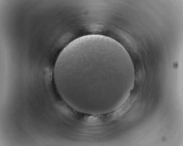 X0000101970180200808151346