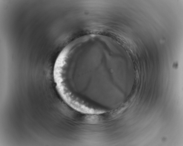 X0000101970181200808151346