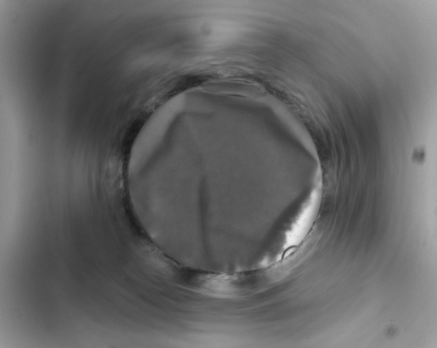 X0000101970182200808151346
