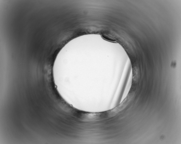 X0000101970184200808151346