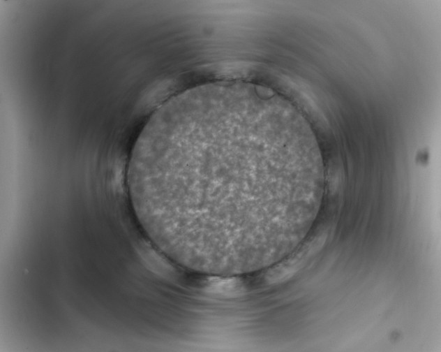 X0000101970185200808151346