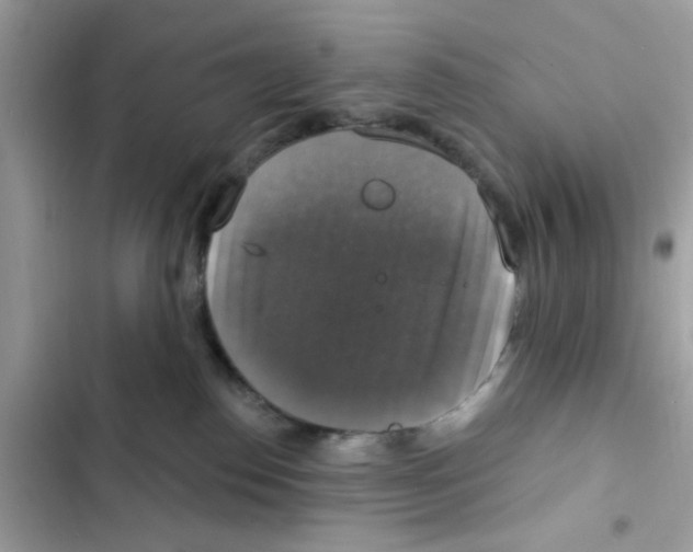 X0000101970186200808151346