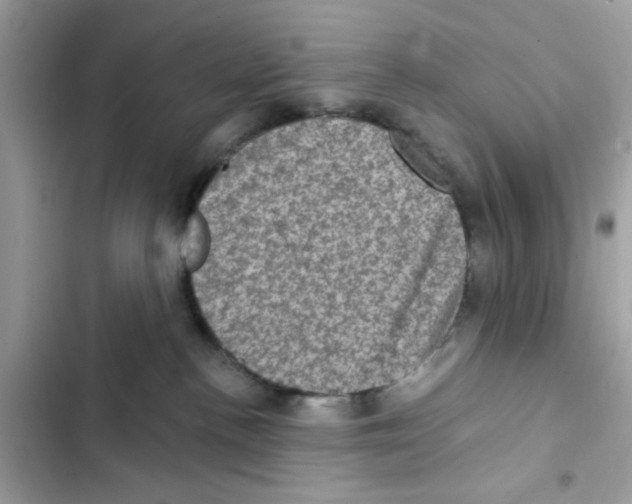 X0000101970188200808151346