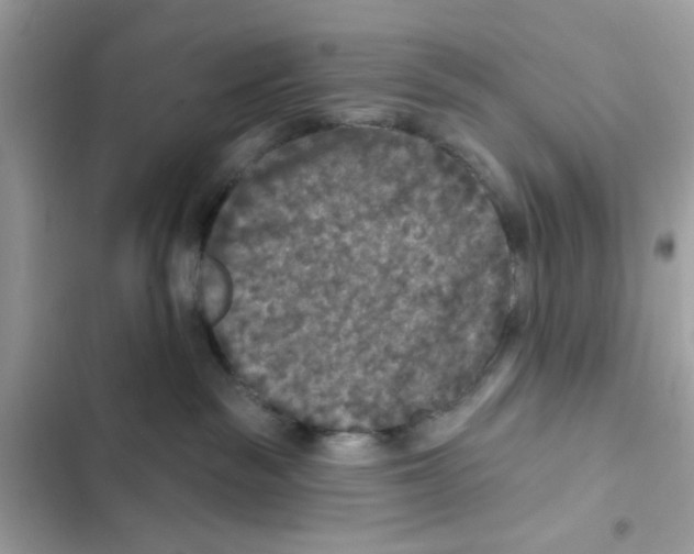 X0000101970189200808151346