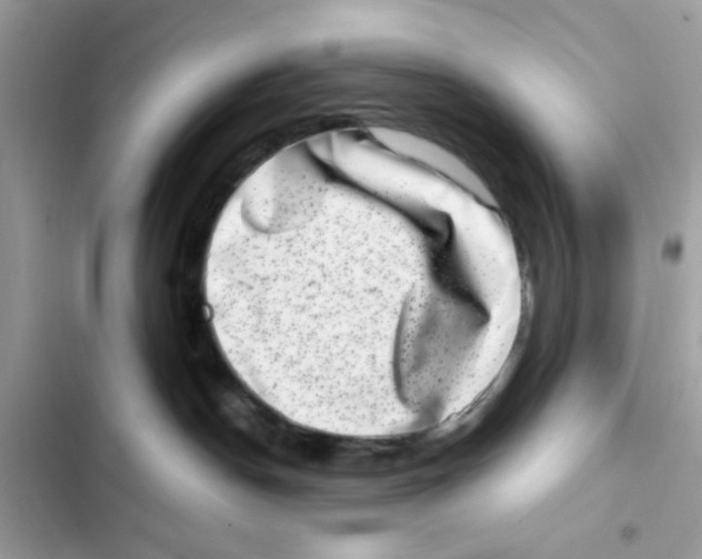 X0000101970190200808151346