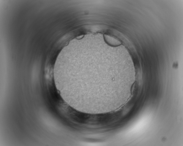 X0000101970191200808151346