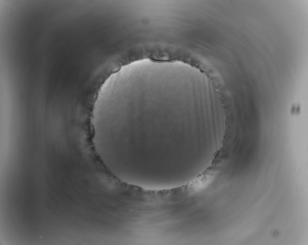 X0000101970192200808151346