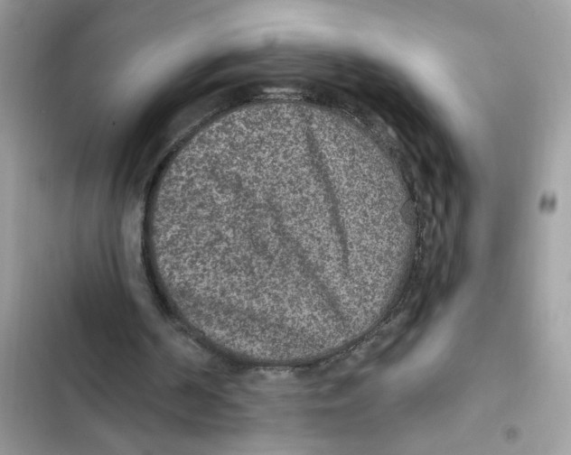 X0000101970194200808151346