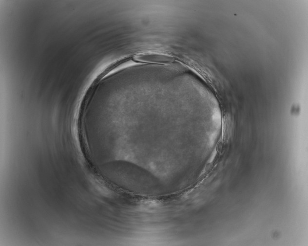 X0000101970195200808151346
