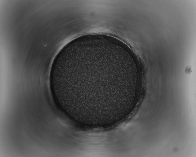 X0000101970196200808151346