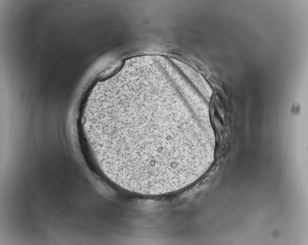 X0000101970197200808151346