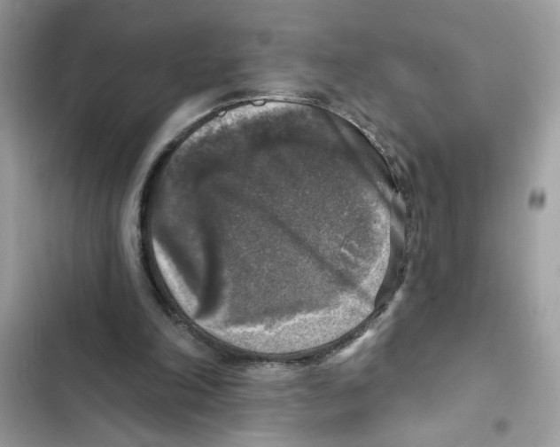 X0000101970198200808151346