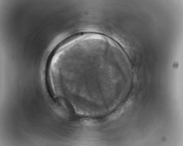 X0000101970199200808151346