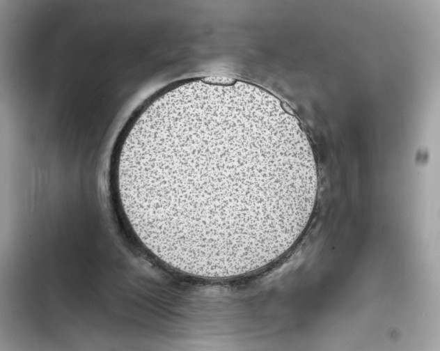 X0000101970200200808151346