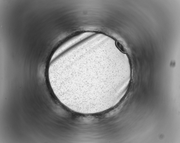 X0000101970201200808151346