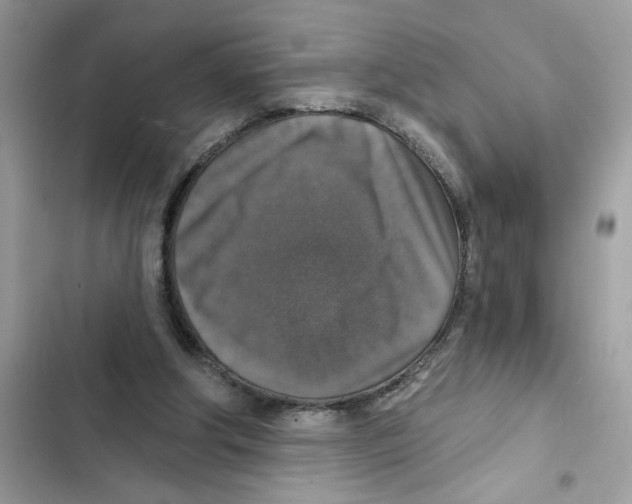 X0000101970202200808151346