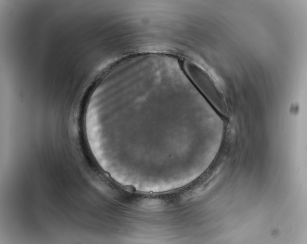 X0000101970203200808151346