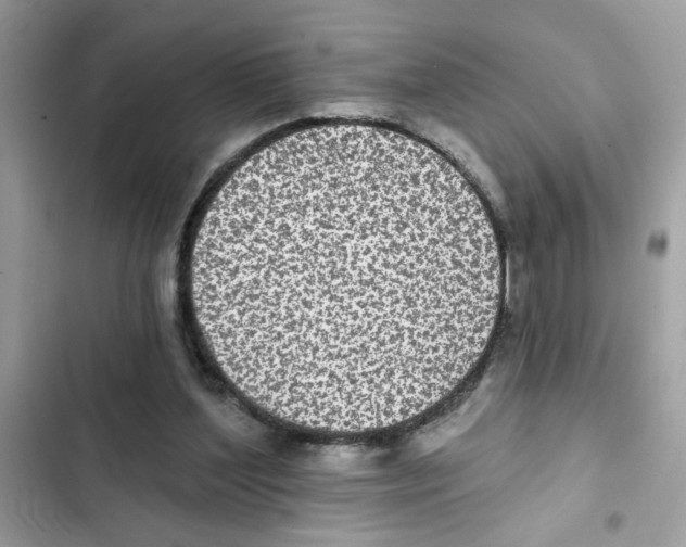 X0000101970204200808151346