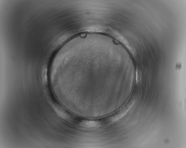 X0000101970205200808151346