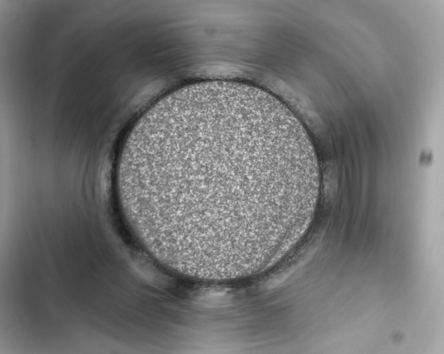 X0000101970206200808151346