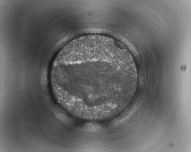 X0000101970207200808151346