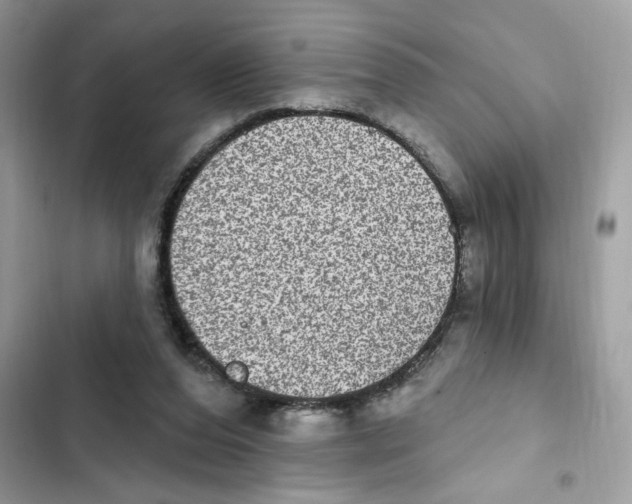 X0000101970208200808151345