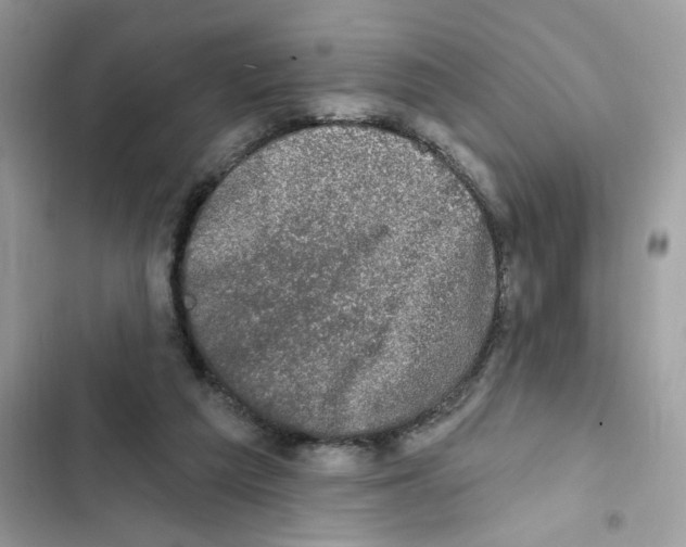 X0000101970209200808151345