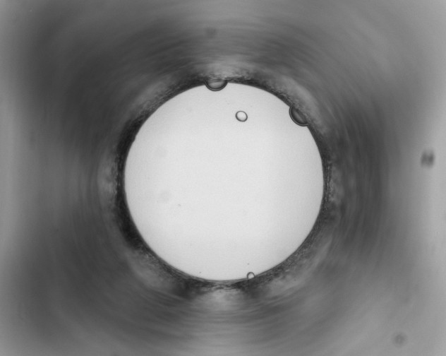 X0000101970210200808151345