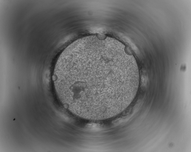 X0000101970211200808151345