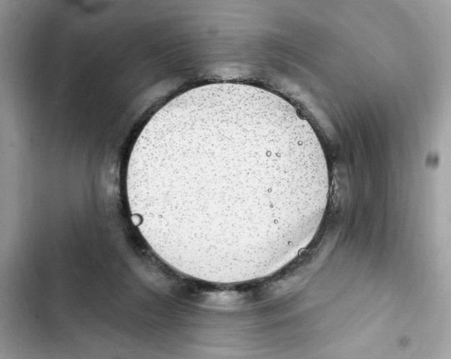 X0000101970212200808151345