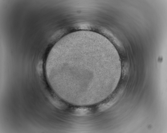 X0000101970213200808151345