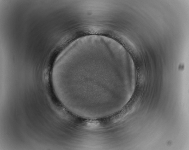 X0000101970214200808151345