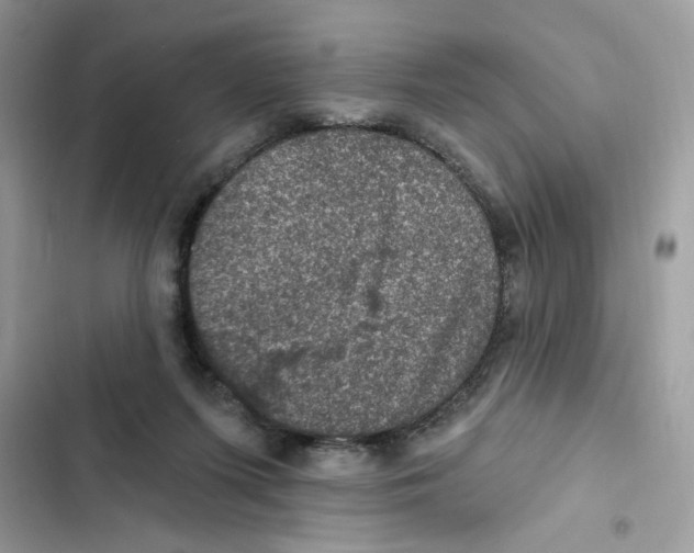 X0000101970215200808151345