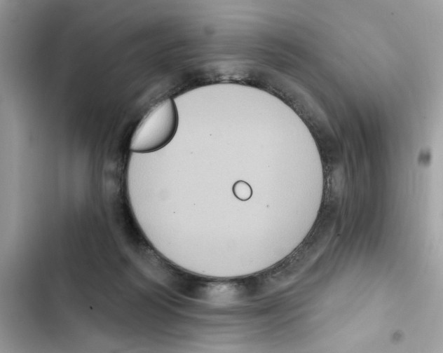 X0000101970218200808151345