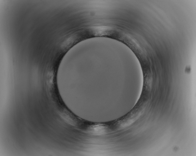 X0000101970219200808151345