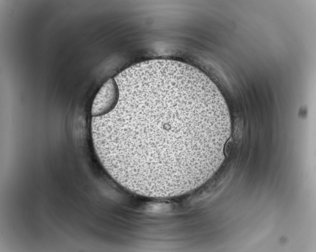 X0000101970220200808151345