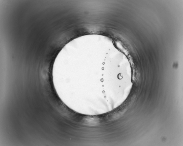 X0000101970221200808151345