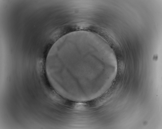 X0000101970222200808151345
