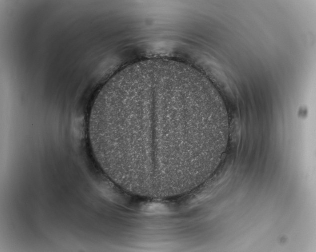 X0000101970224200808151345