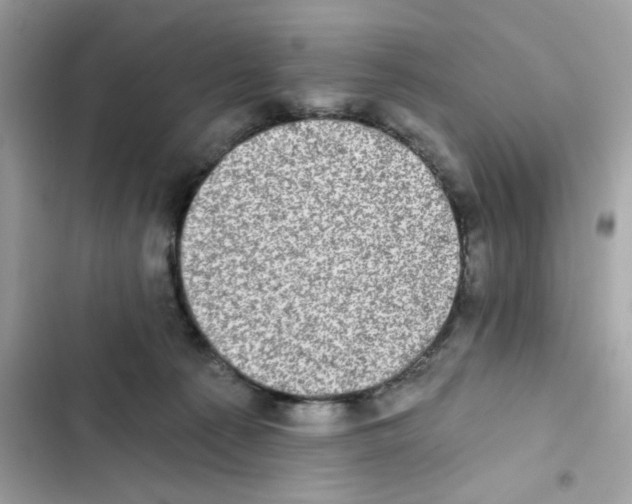 X0000101970225200808151345