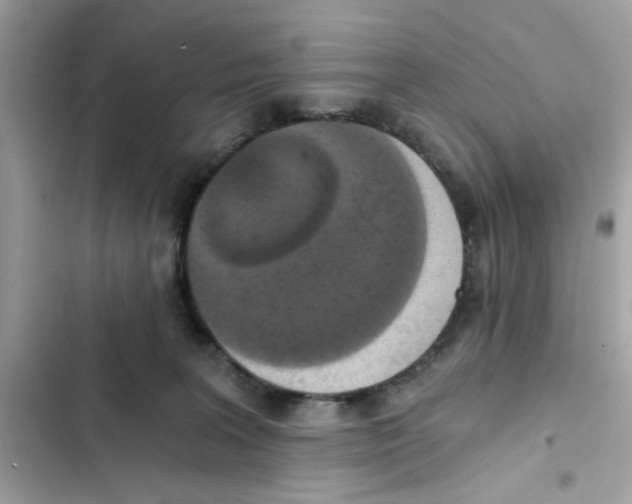 X0000101970227200808151345