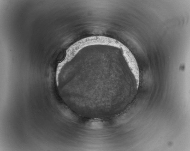 X0000101970228200808151345