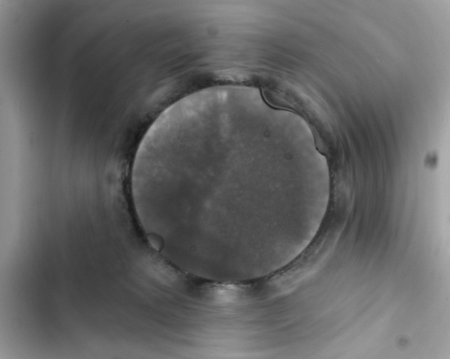 X0000101970229200808151345