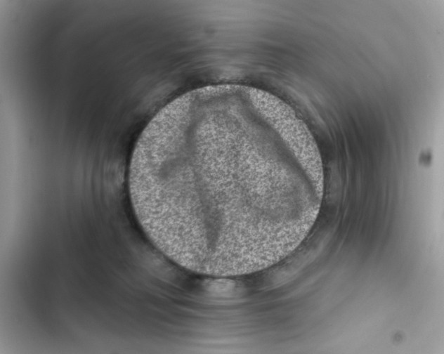 X0000101970230200808151345