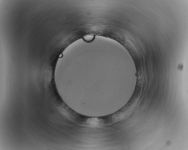 X0000101970231200808151345