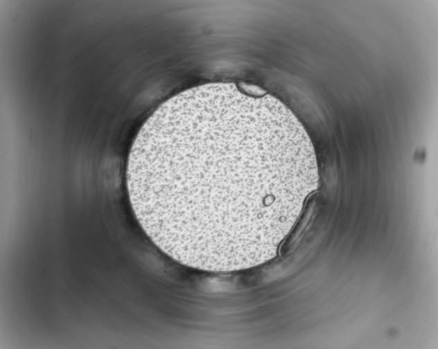 X0000101970232200808151345